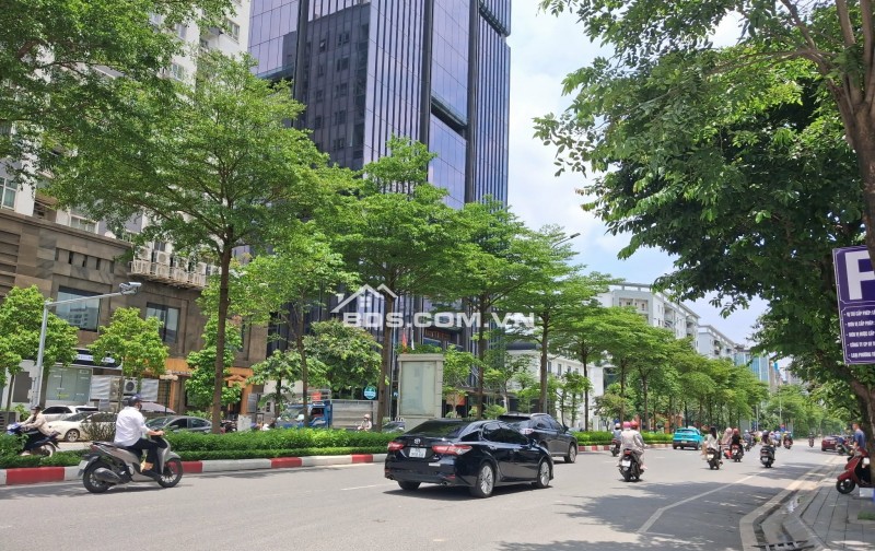 SIÊU PHẨM BIỆT THỰ D5 TRẦN THÁI TÔNG LÔ GÓC 2 MẶT ĐƯỜNG DT 238 M2 GIÁ RẺ